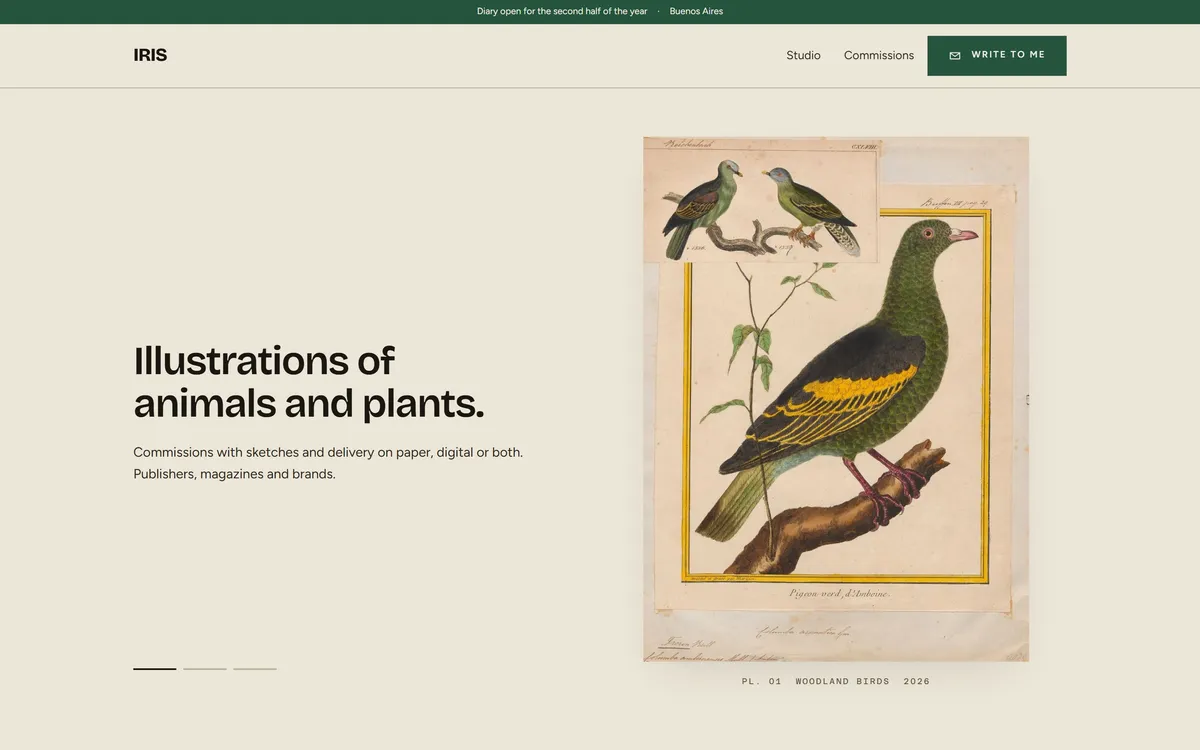 The home page of the IRIS demo, an illustrator's portfolio